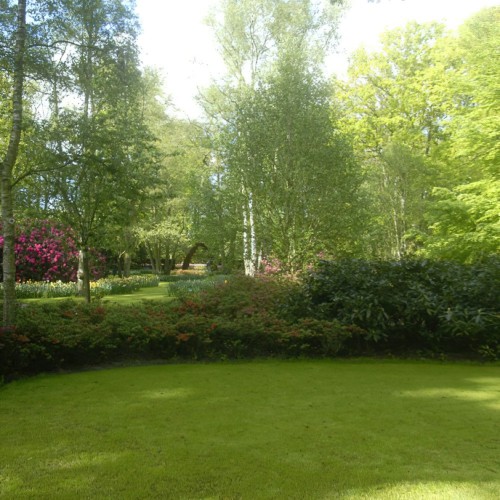 Shaded Lawn Grass Seed