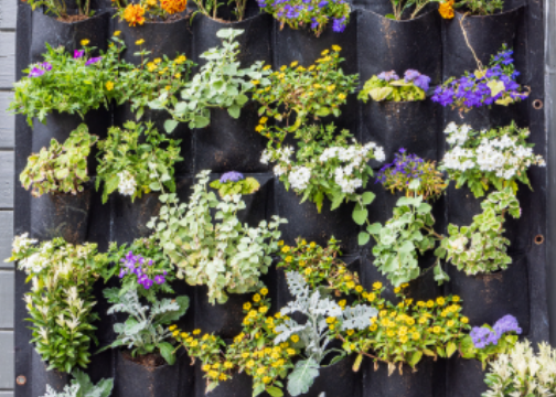 Vertical Gardening: Growing Up For Space-Saving Beauty